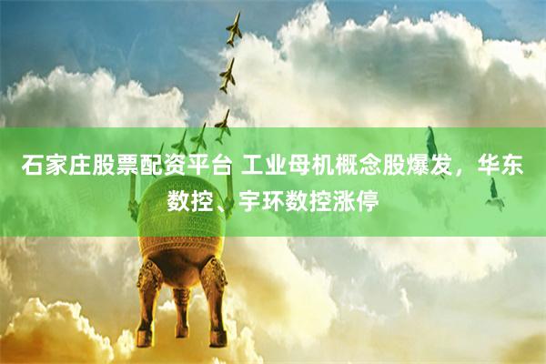 石家庄股票配资平台 工业母机概念股爆发，华东数控、宇环数控涨停