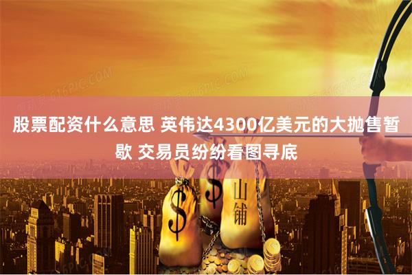 股票配资什么意思 英伟达4300亿美元的大抛售暂歇 交易员纷纷看图寻底