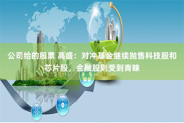 公司给的股票 高盛：对冲基金继续抛售科技股和芯片股，金融股则受到青睐