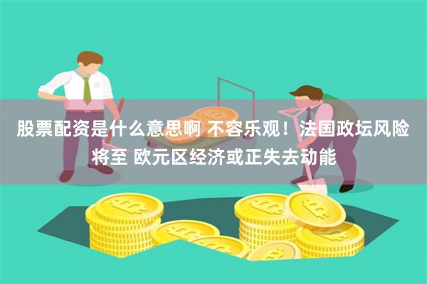 股票配资是什么意思啊 不容乐观！法国政坛风险将至 欧元区经济或正失去动能
