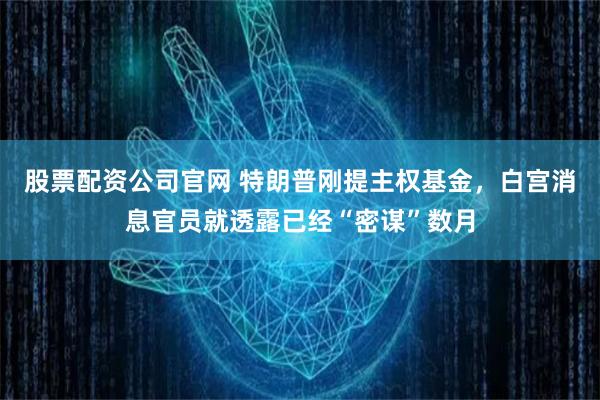 股票配资公司官网 特朗普刚提主权基金，白宫消息官员就透露已经“密谋”数月
