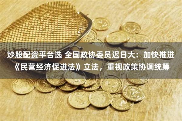 炒股配资平台选 全国政协委员迟日大：加快推进《民营经济促进法》立法，重视政策协调统筹