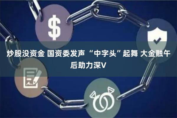 炒股没资金 国资委发声 “中字头”起舞 大金融午后助力深V